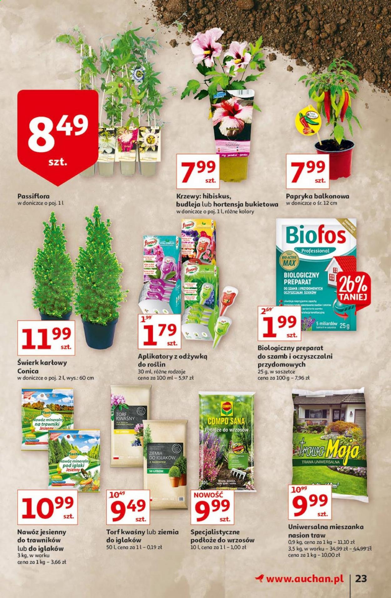 Gazetka Auchan - 26.08.2021 - 1.09.2021. Strona 23