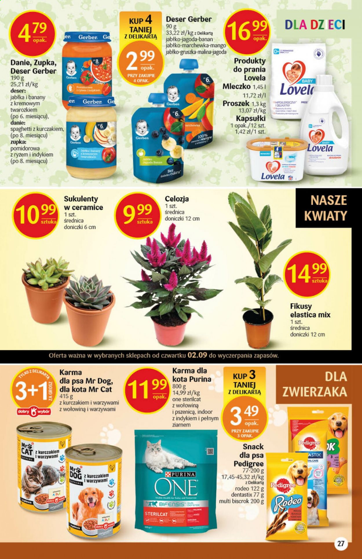 Gazetka Delikatesy Centrum - 2.09.2021 - 8.09.2021. Strona 27