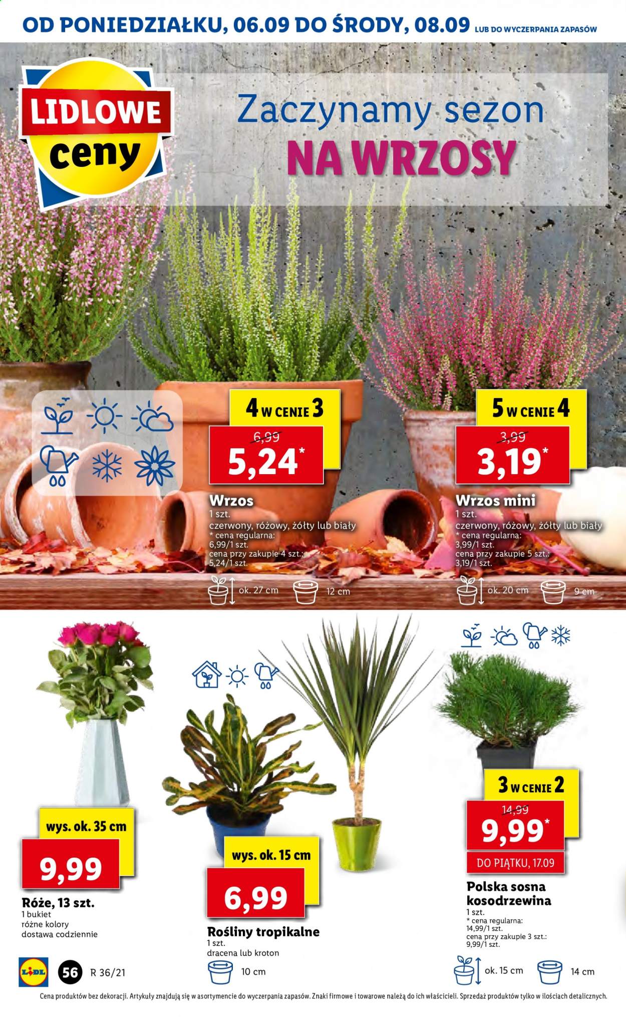 Gazetka Lidl - 6.09.2021 - 8.09.2021. Strona 56