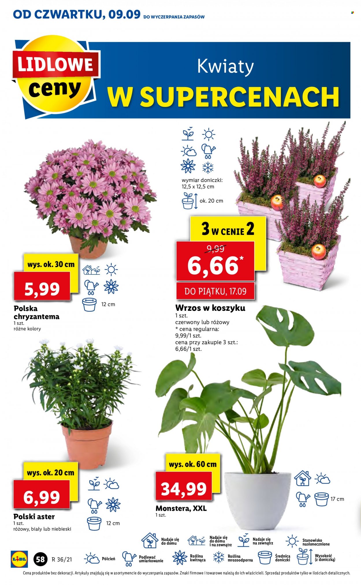 Gazetka Lidl - 9.09.2021 - 12.09.2021. Strona 58
