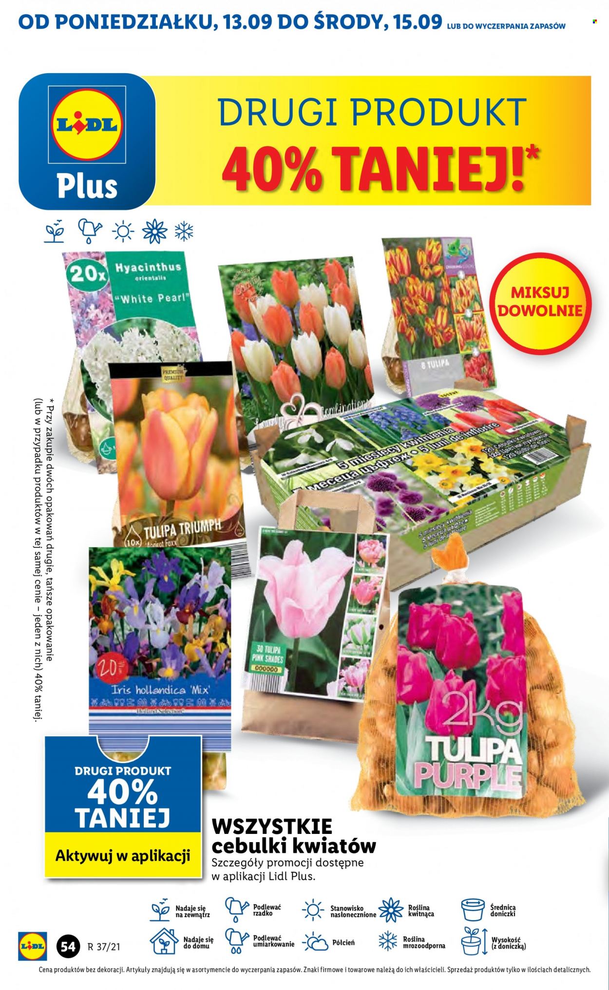 Gazetka Lidl - 13.09.2021 - 15.09.2021. Strona 54