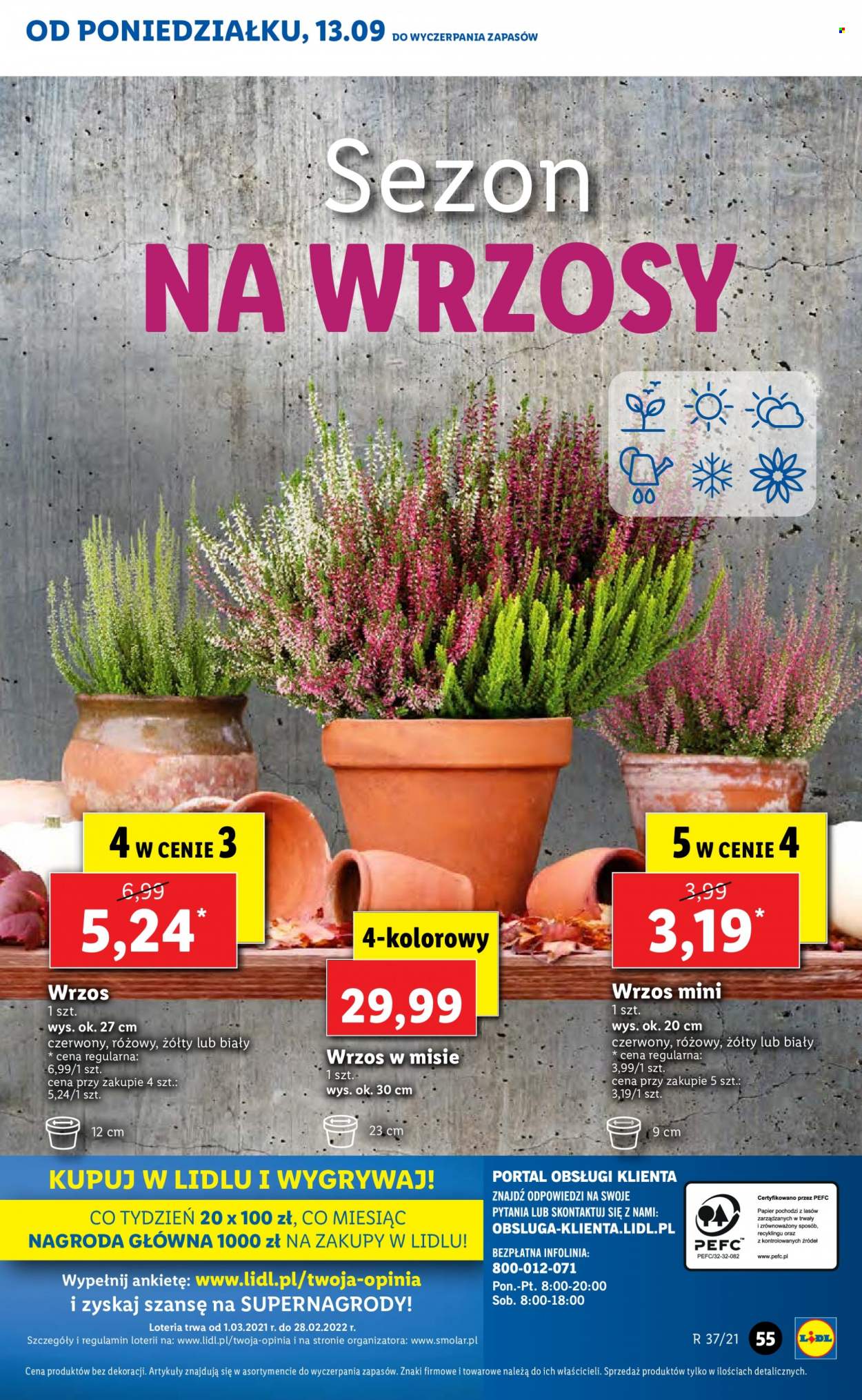 Gazetka Lidl - 13.09.2021 - 15.09.2021. Strona 55
