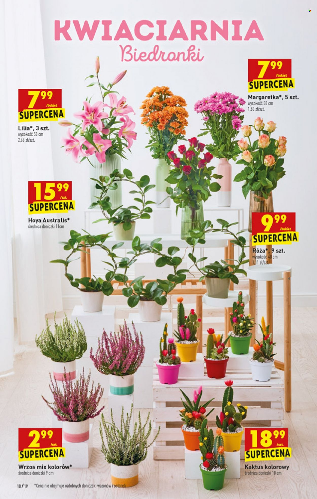 Gazetka Biedronka - 13.09.2021 - 18.09.2021. Strona 18