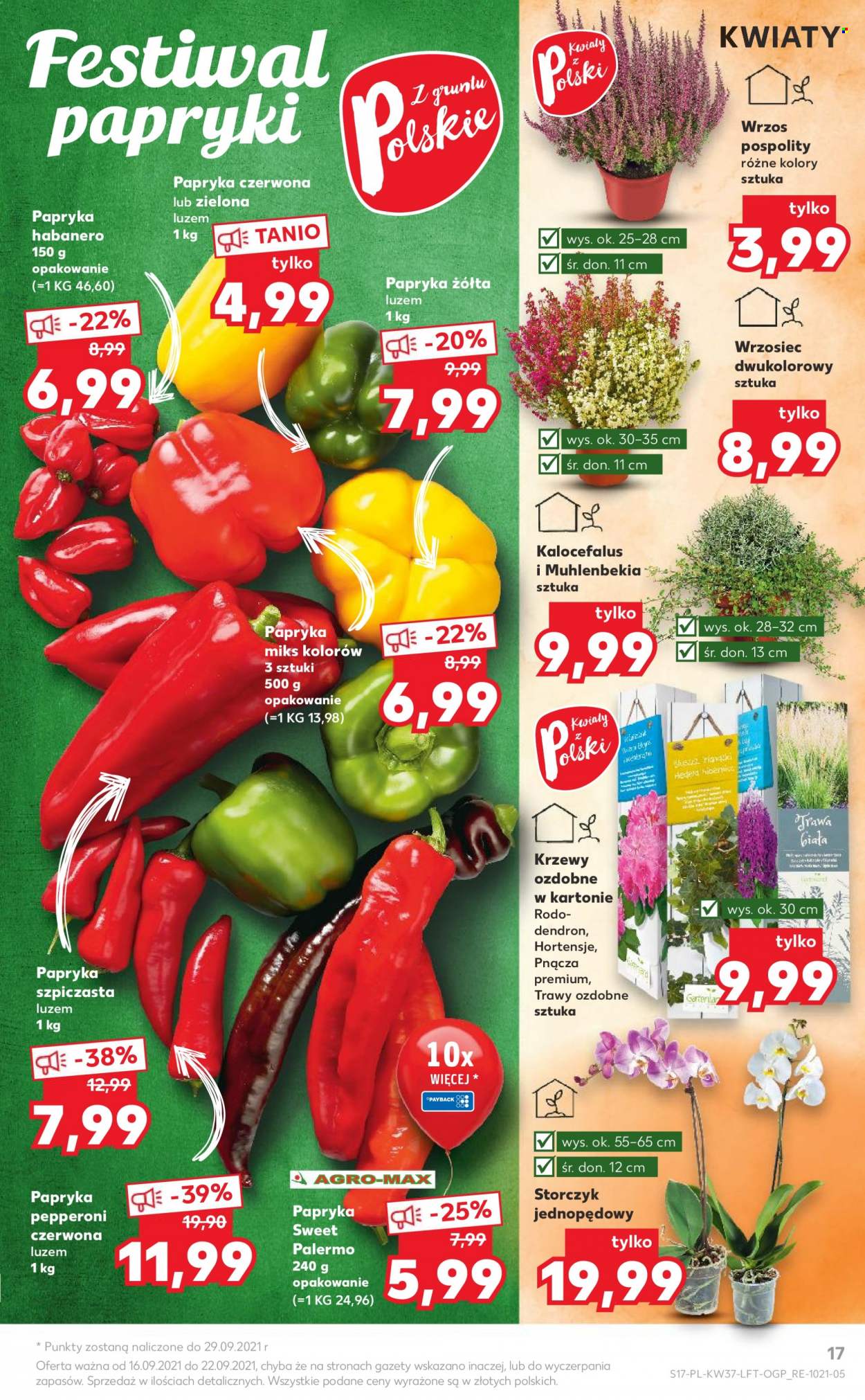 Gazetka Kaufland - 16.09.2021 - 22.09.2021. Strona 17