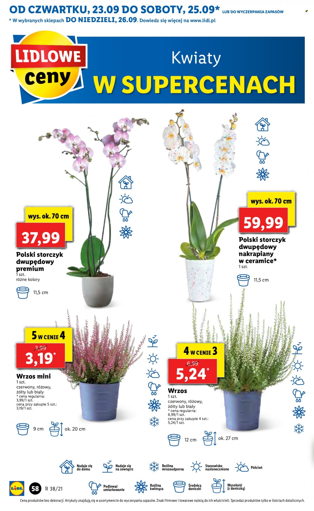 Gazetka Lidl - 23.09.2021 - 26.09.2021. Strona 58