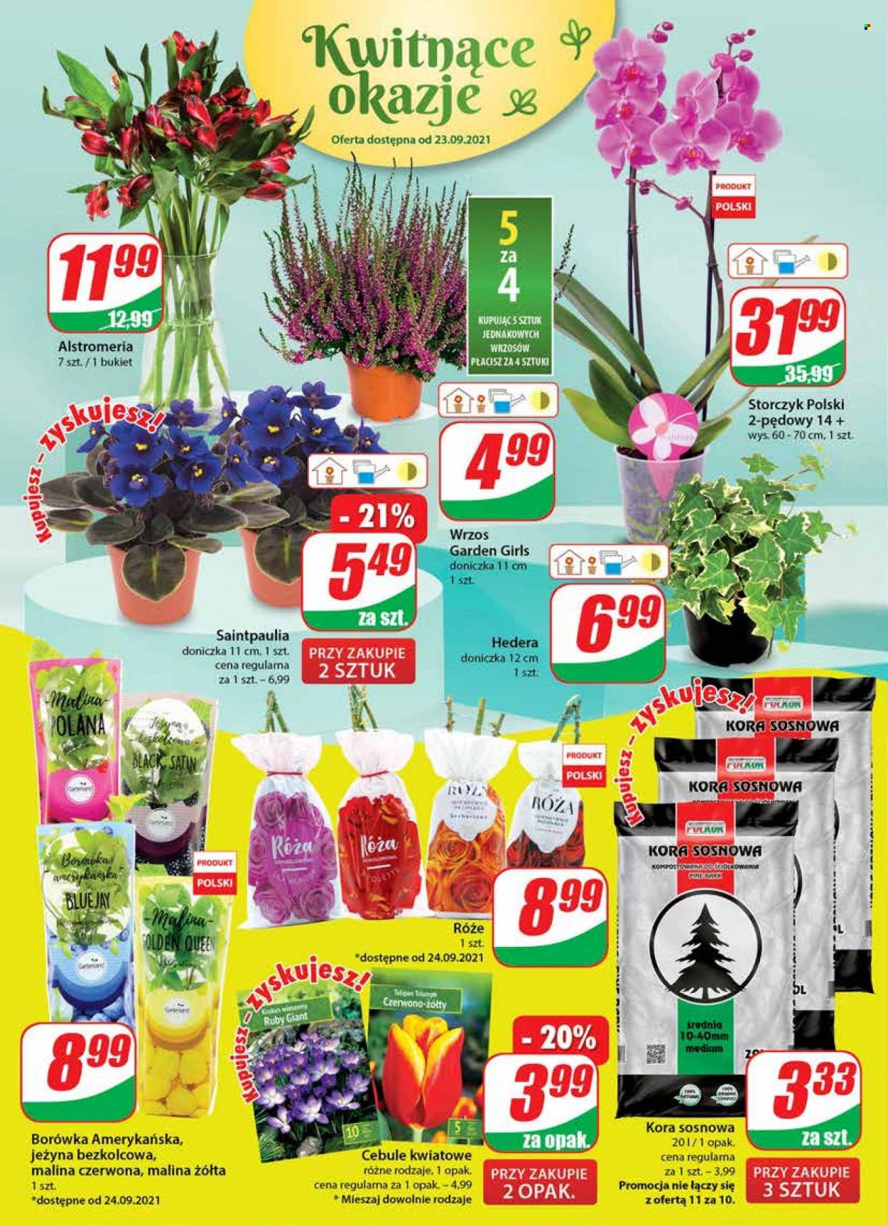 Gazetka Dino - 22.09.2021 - 28.09.2021. Strona 16
