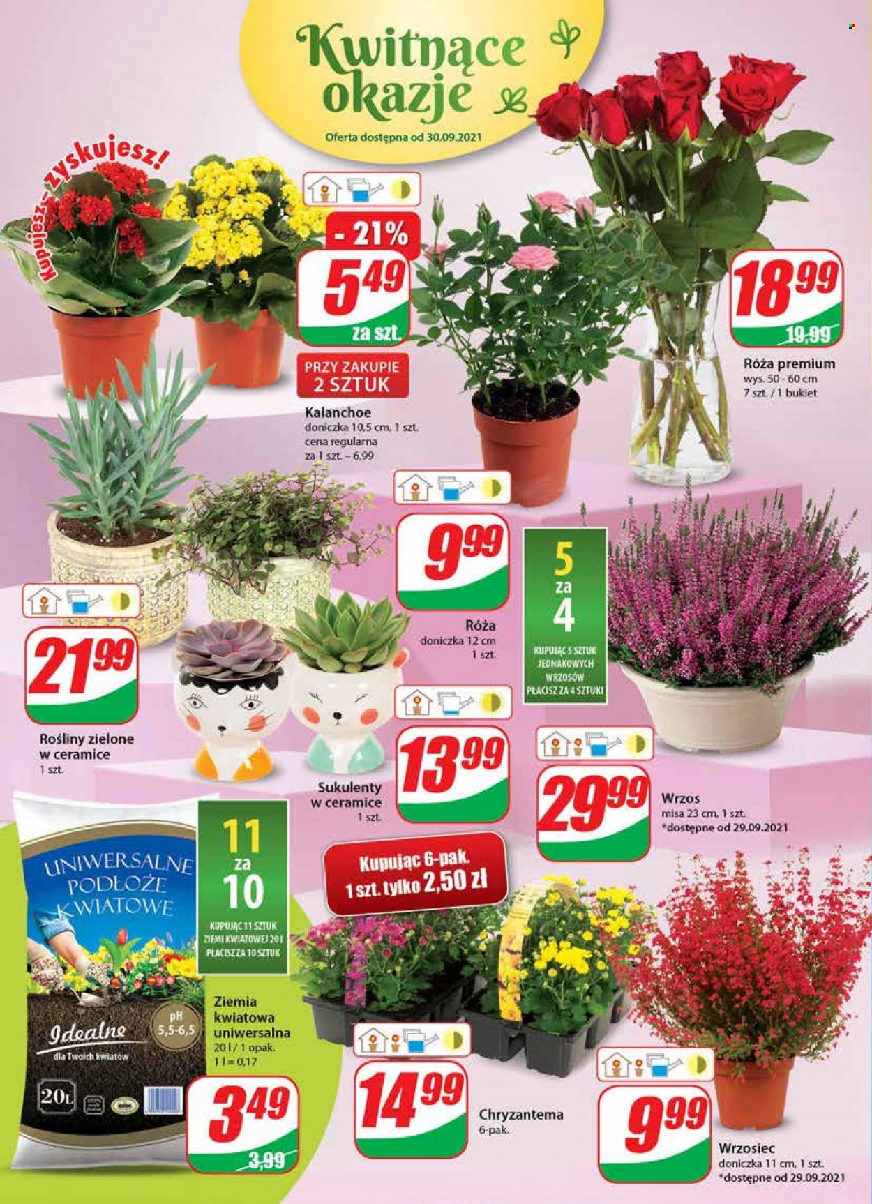 Gazetka Dino - 29.09.2021 - 5.10.2021. Strona 18