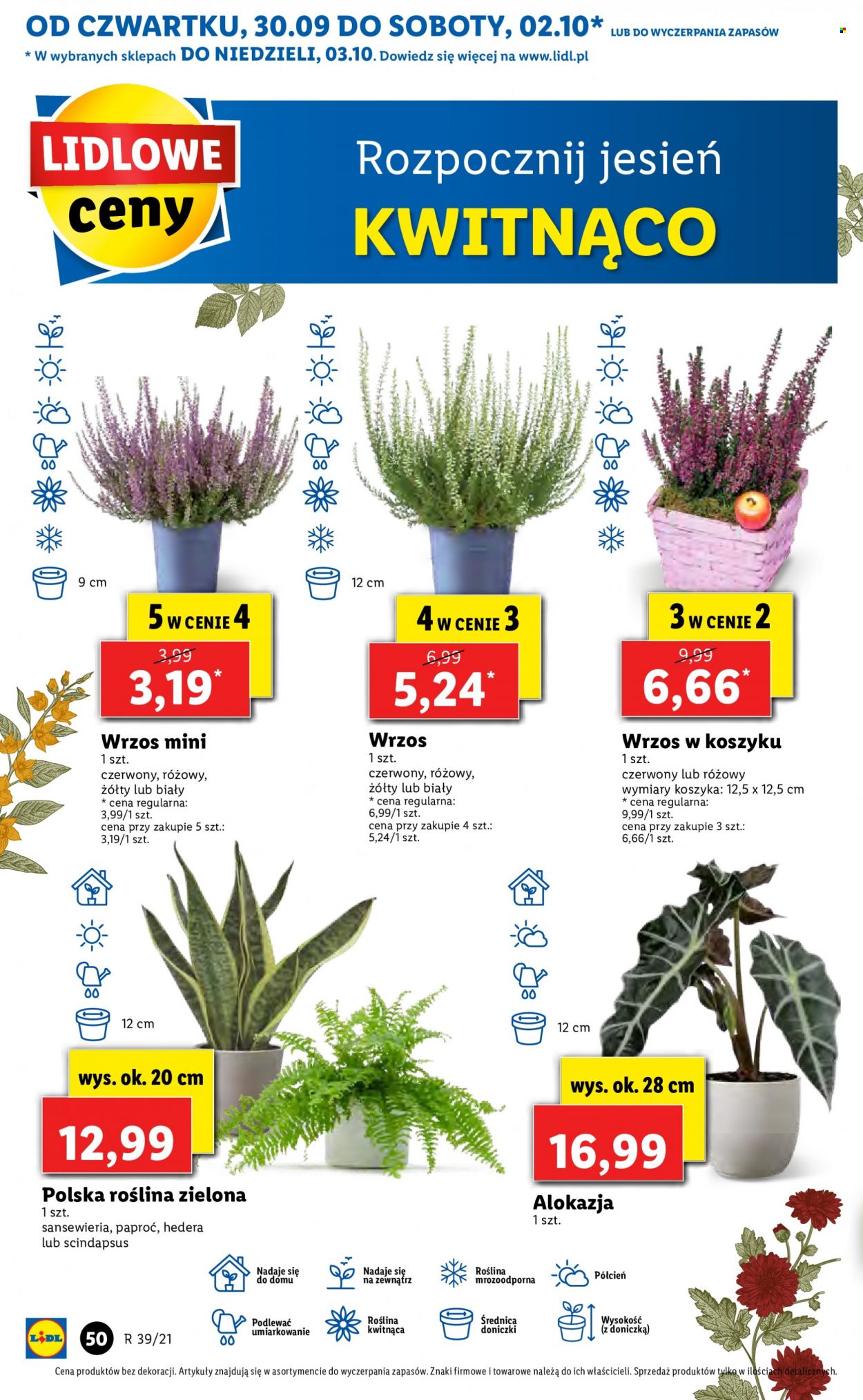 Gazetka Lidl - 30.09.2021 - 3.10.2021. Strona 50