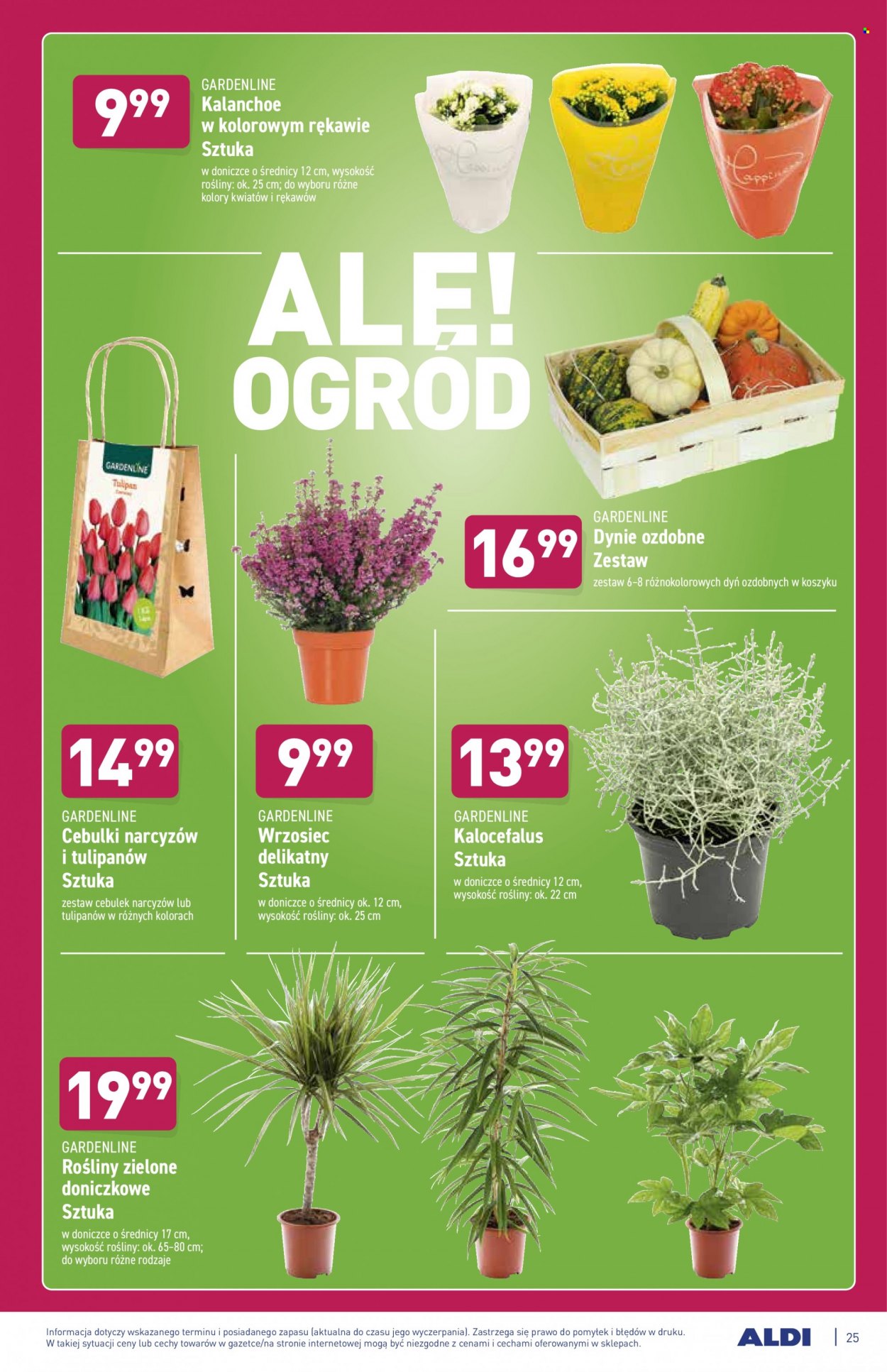 Gazetka ALDI - 4.10.2021 - 10.10.2021. Strona 25