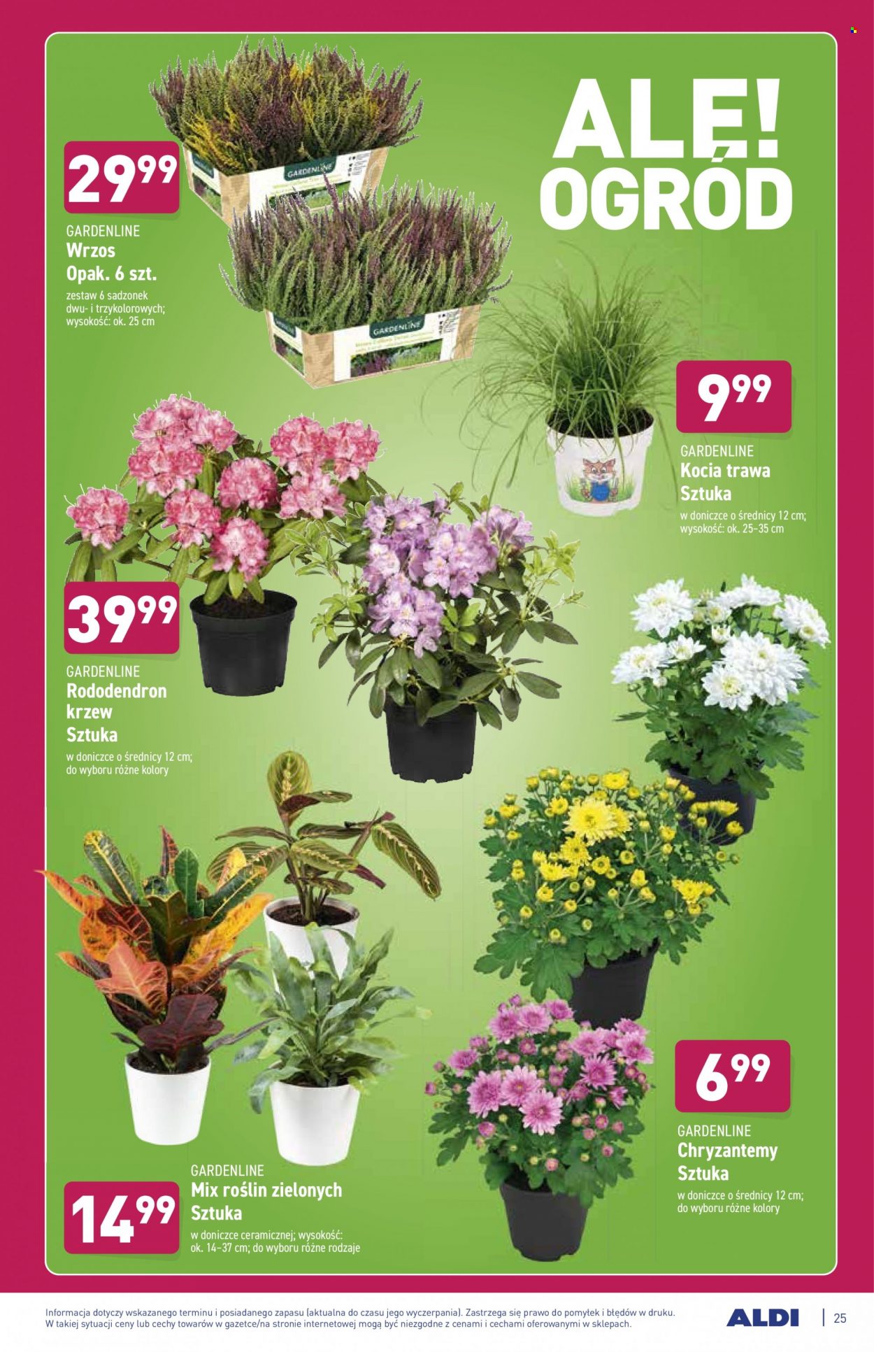 Gazetka ALDI - 18.10.2021 - 23.10.2021. Strona 25