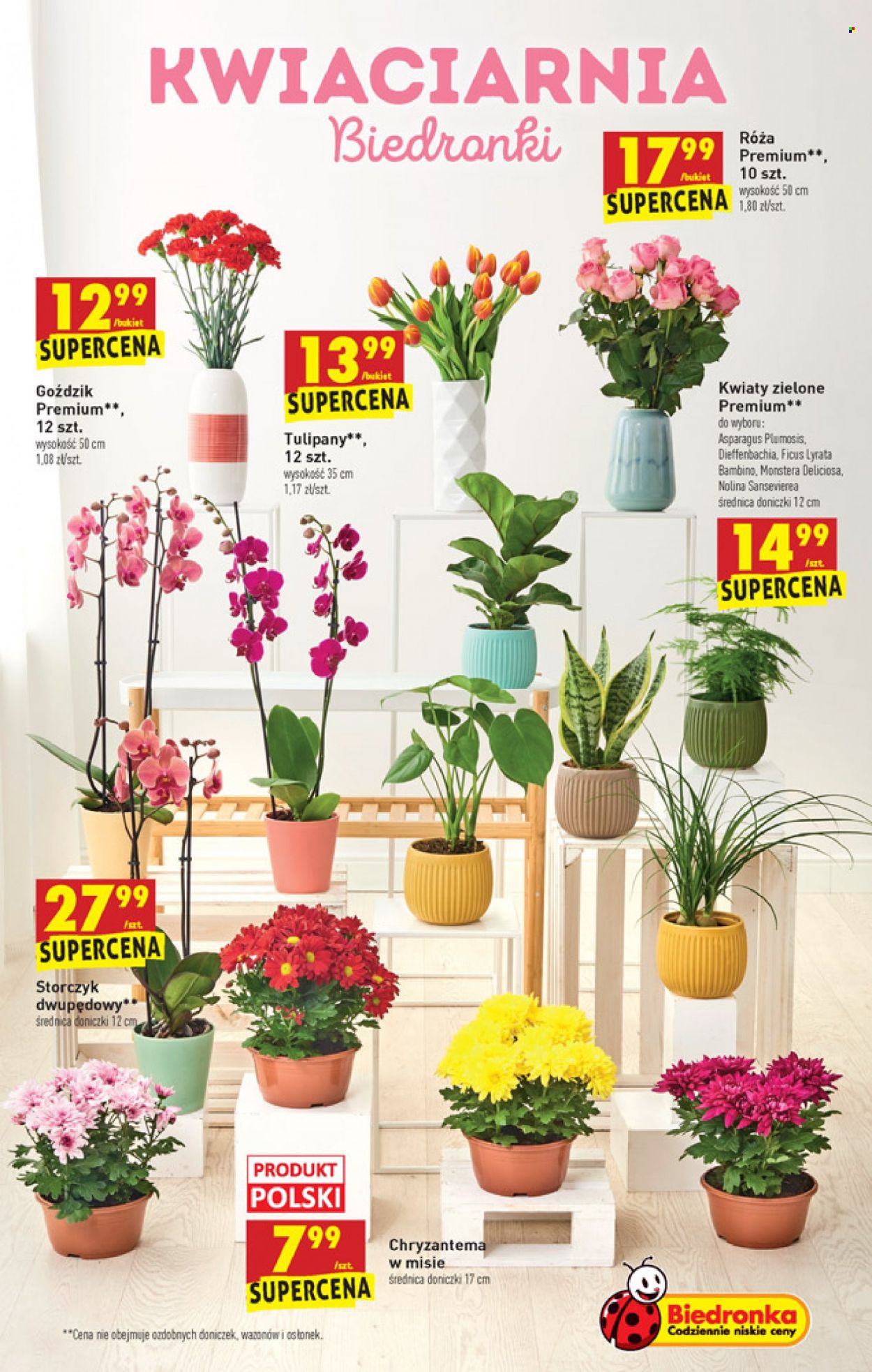 Gazetka Biedronka - 21.10.2021 - 27.10.2021. Strona 15