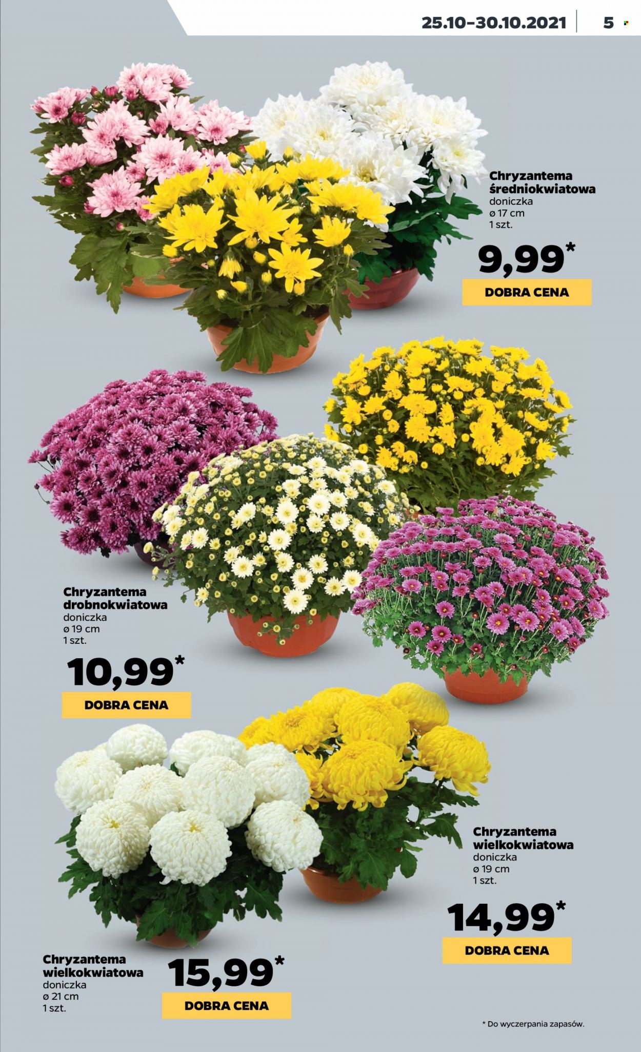 Gazetka Netto - 25.10.2021 - 30.10.2021. Strona 5