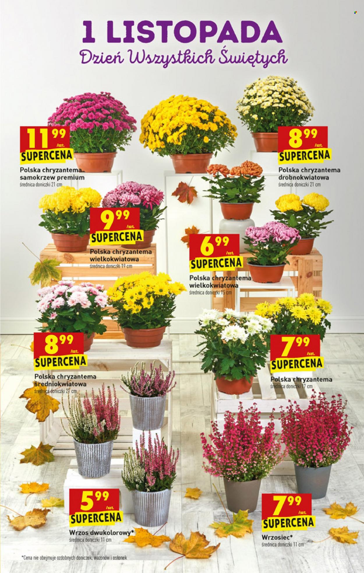 Gazetka Biedronka - 25.10.2021 - 30.10.2021. Strona 9