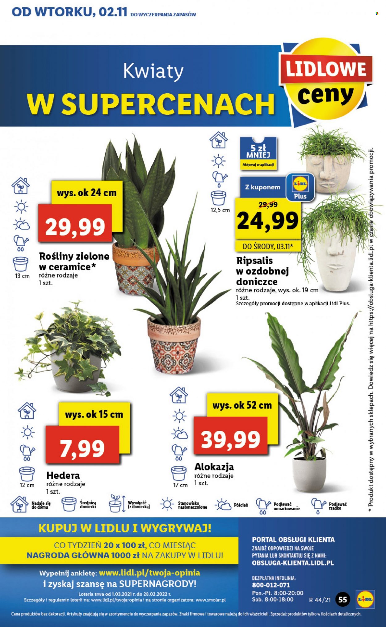 Gazetka Lidl - 2.11.2021 - 3.11.2021. Strona 55