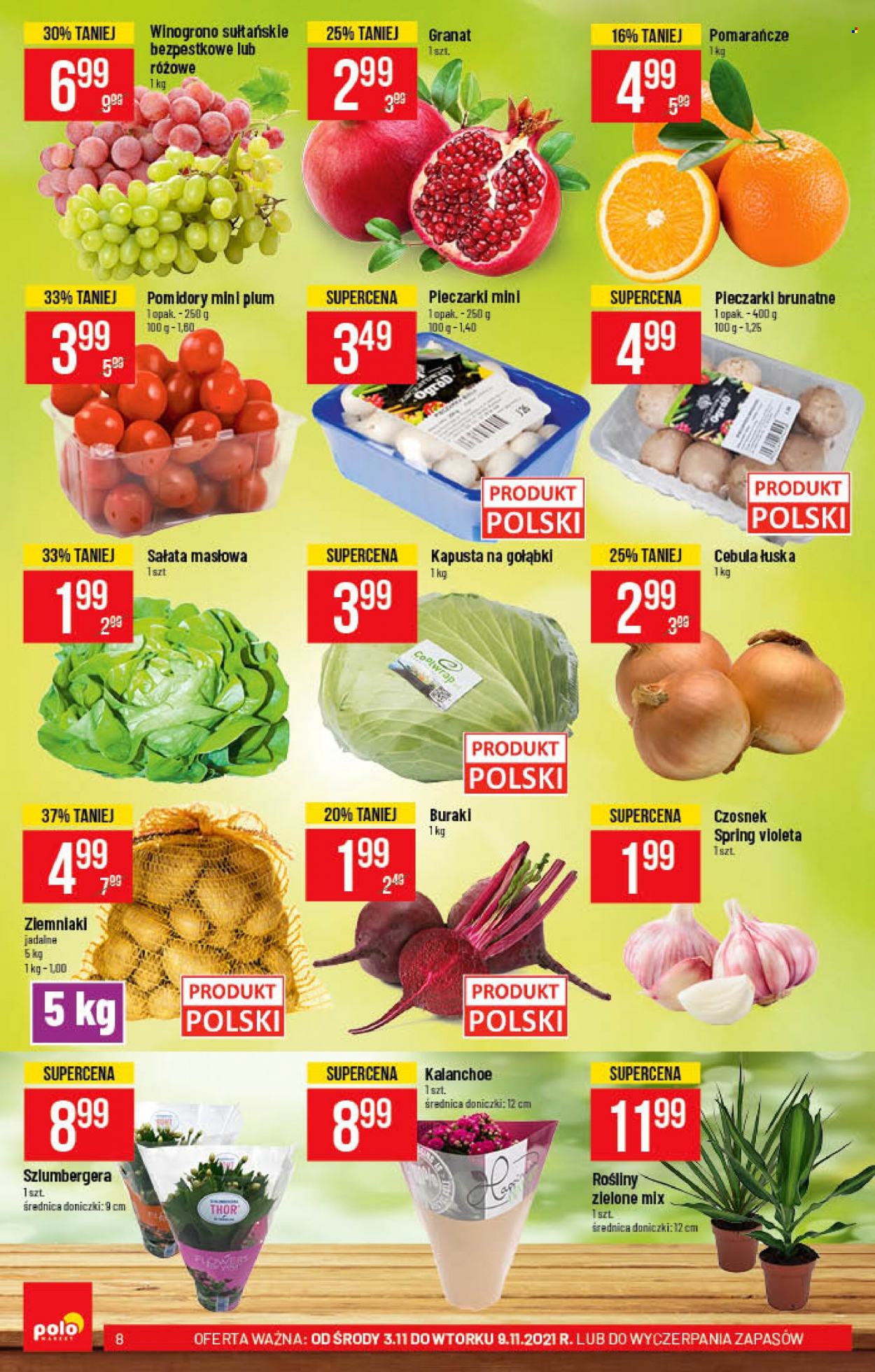Gazetka Polomarket - 3.11.2021 - 9.11.2021. Strona 8
