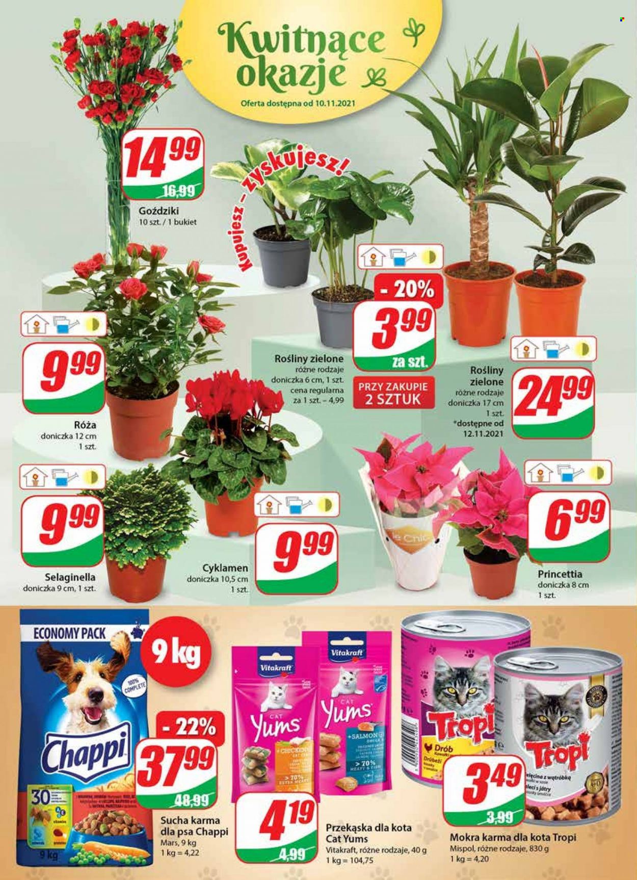 Gazetka Dino - 10.11.2021 - 16.11.2021. Strona 16