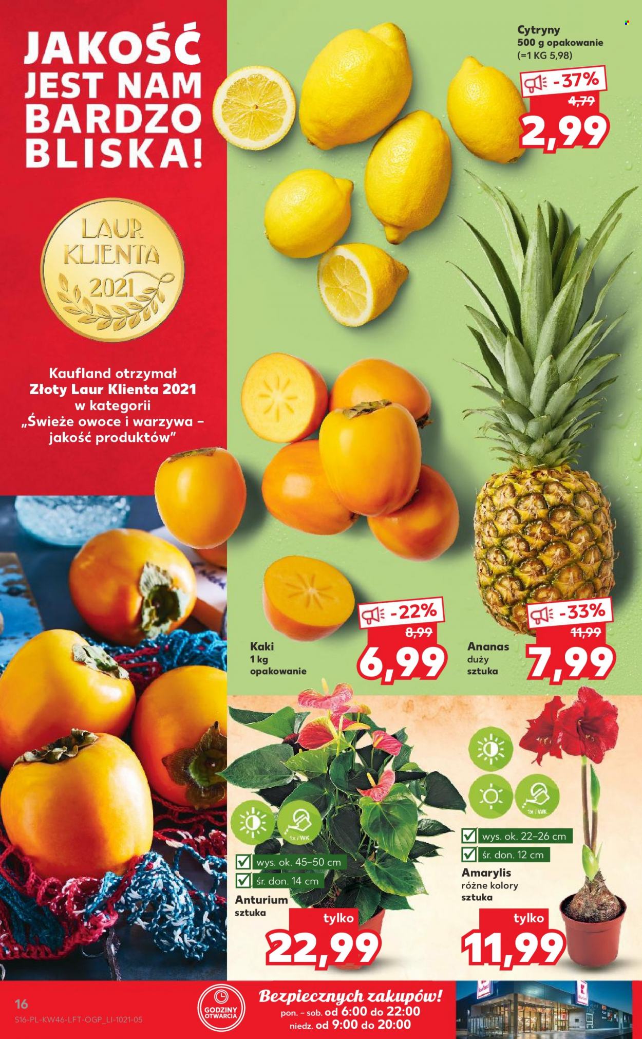 Gazetka Kaufland - 18.11.2021 - 24.11.2021. Strona 16