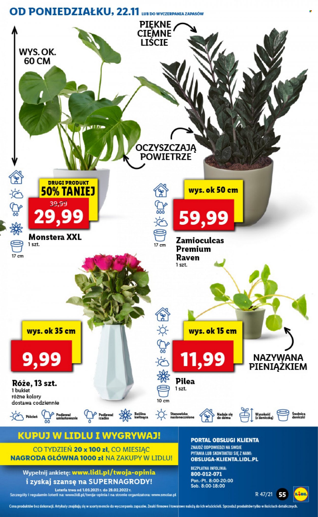 Gazetka Lidl - 22.11.2021 - 24.11.2021. Strona 55