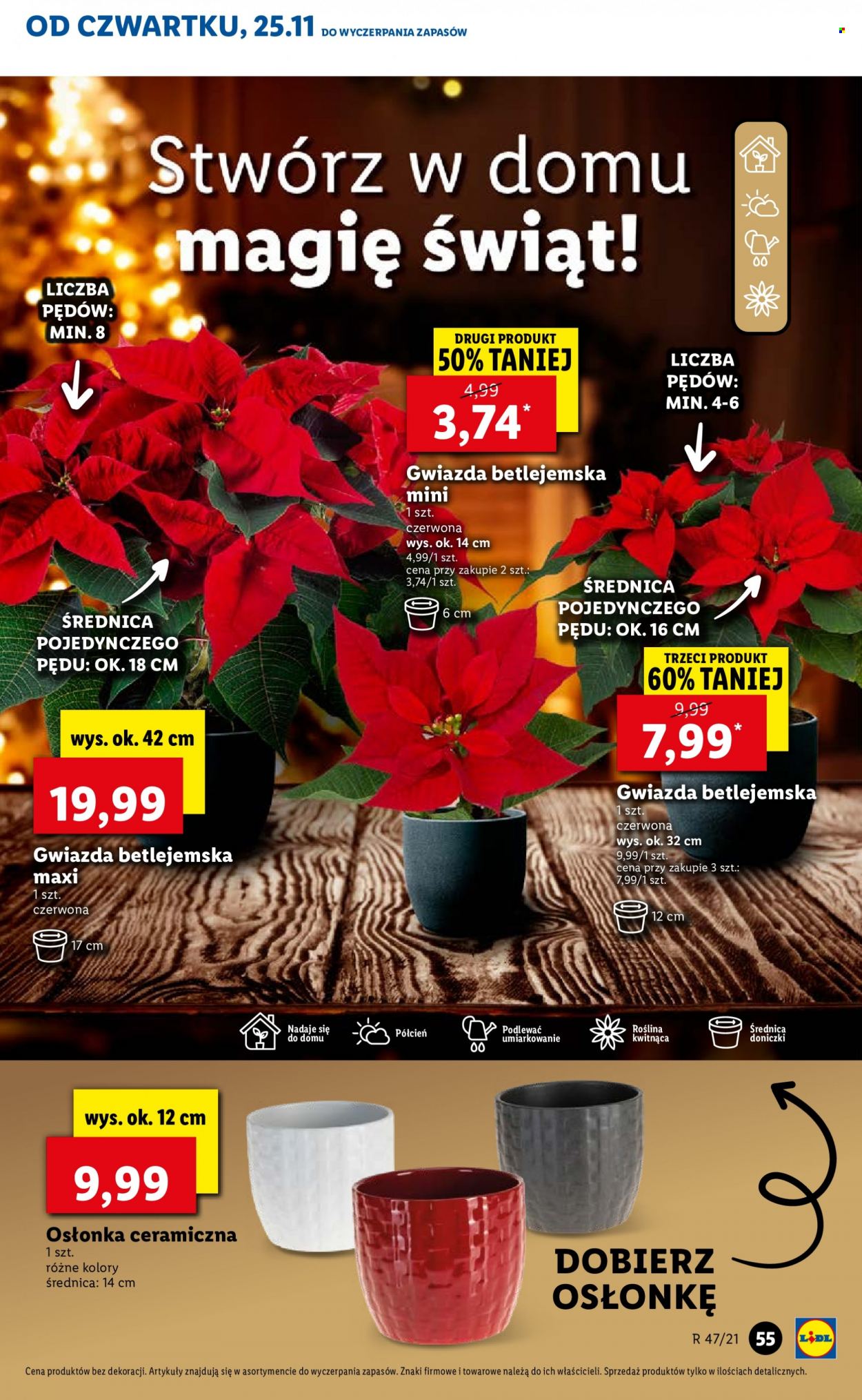 Gazetka Lidl - 25.11.2021 - 28.11.2021. Strona 55