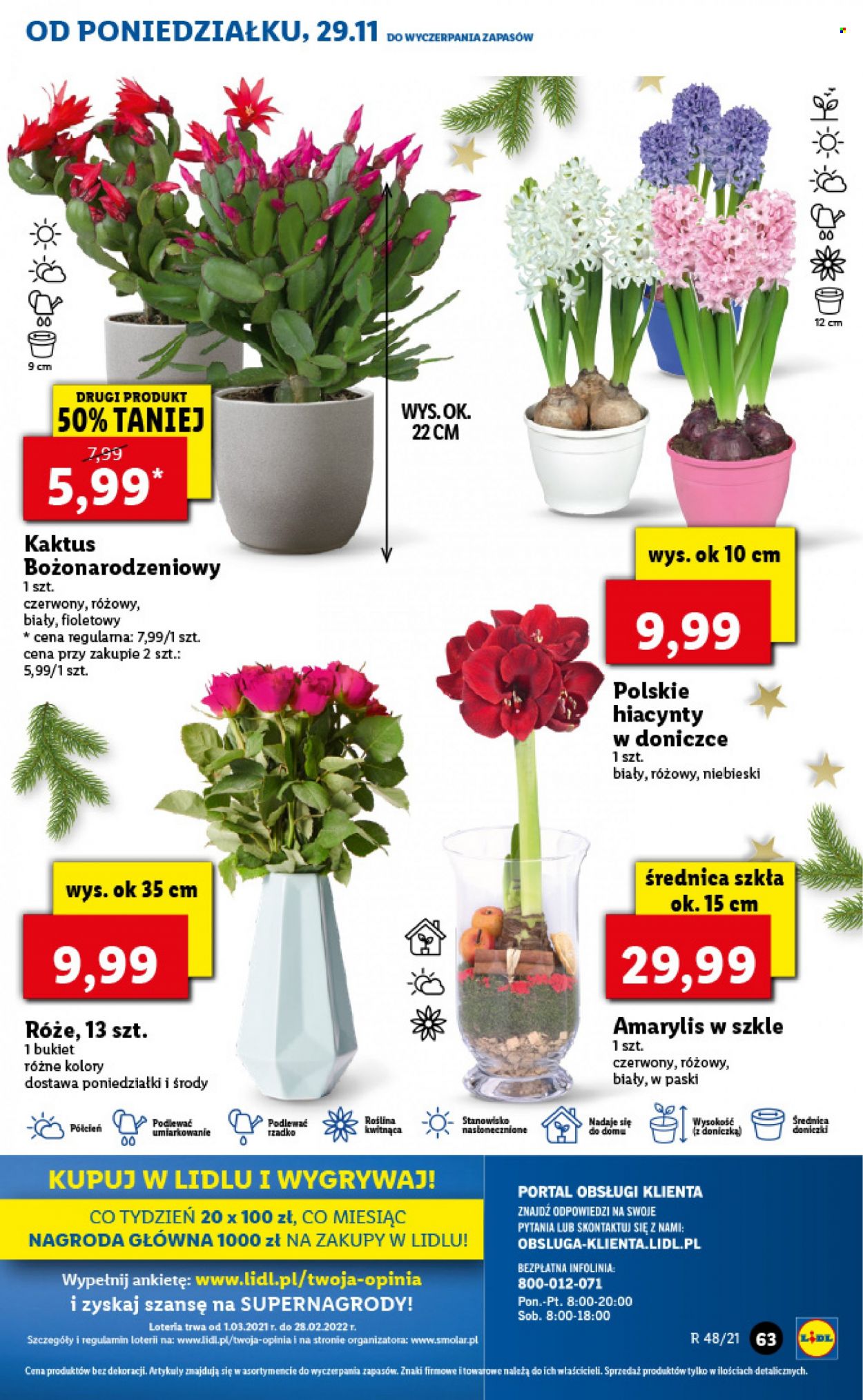 Gazetka Lidl - 29.11.2021 - 1.12.2021. Strona 63
