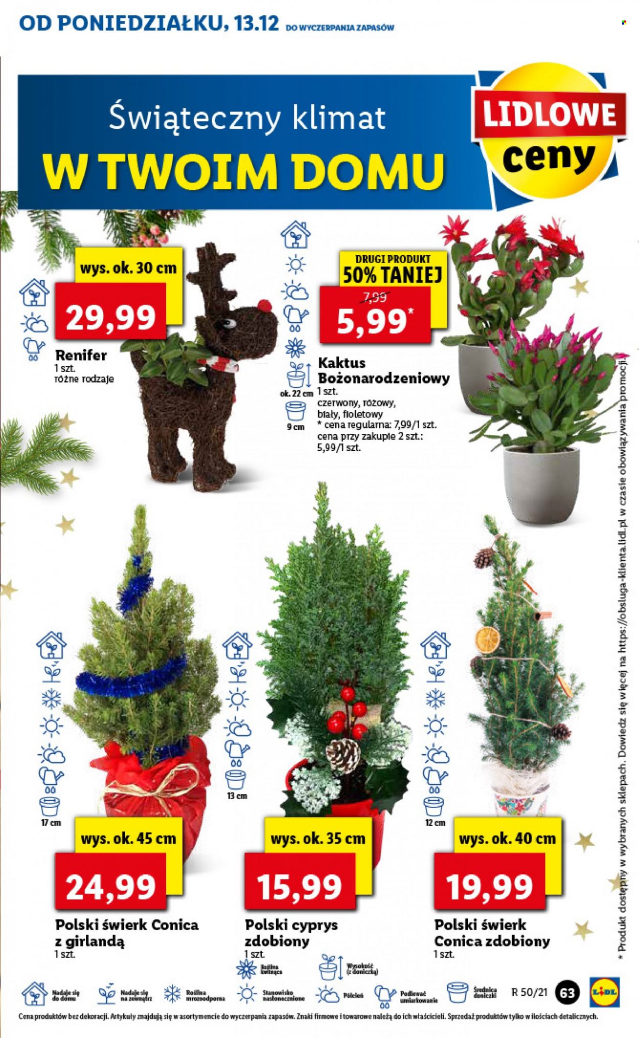 Gazetka Lidl - 13.12.2021 - 15.12.2021. Strona 63