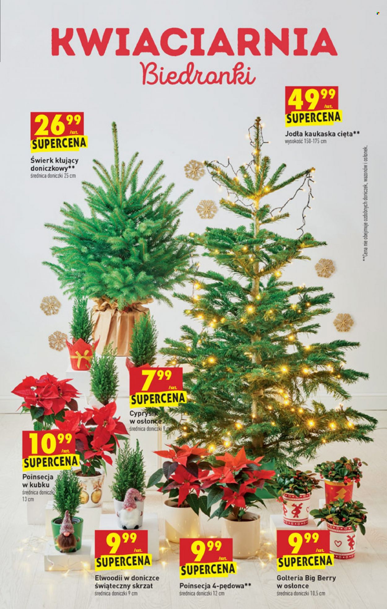 Gazetka Biedronka - 13.12.2021 - 19.12.2021. Strona 9