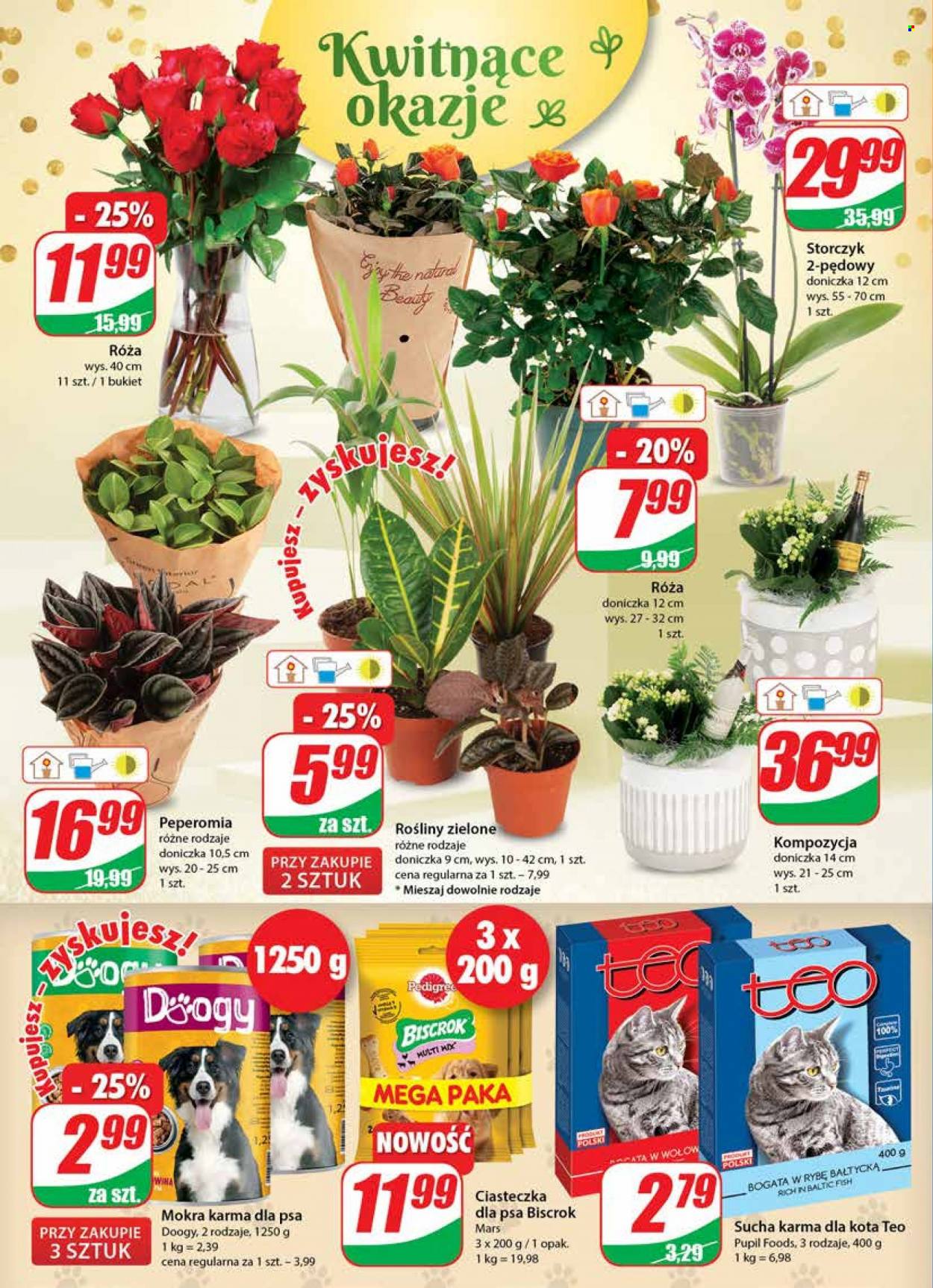 Gazetka Dino - 29.12.2021 - 4.01.2022. Strona 18