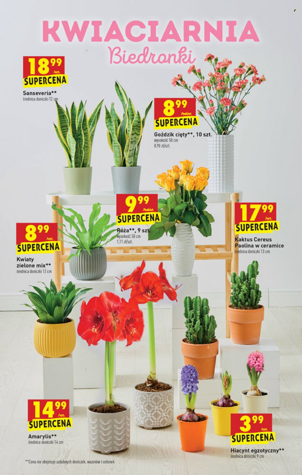 Gazetka Biedronka - 3.01.2022 - 9.01.2022. Strona 61