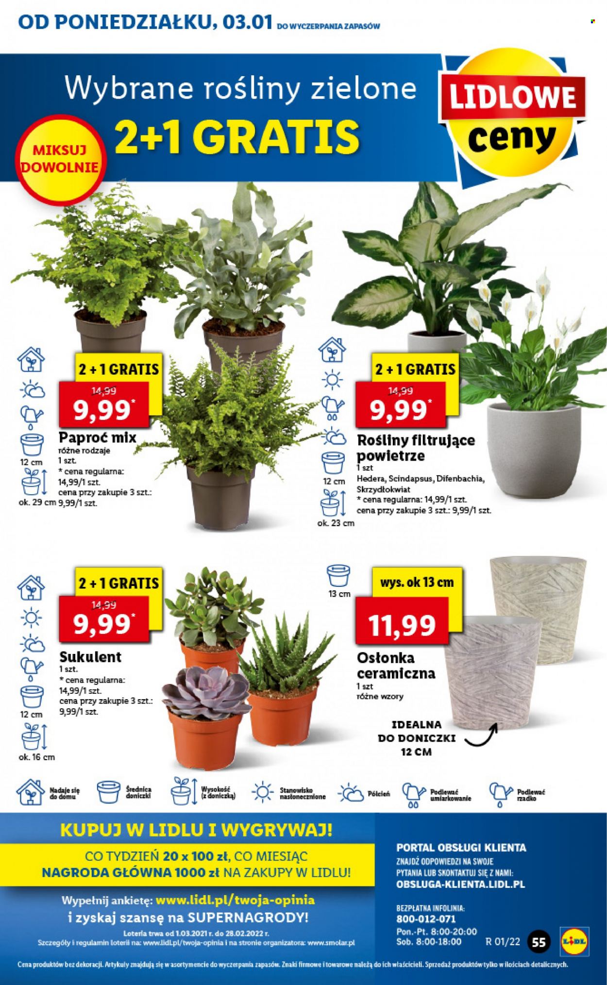 Gazetka Lidl - 3.01.2022 - 5.01.2022. Strona 55