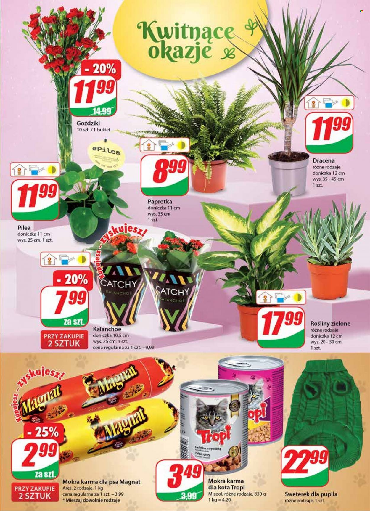 Gazetka Dino - 5.01.2022 - 11.01.2022. Strona 15