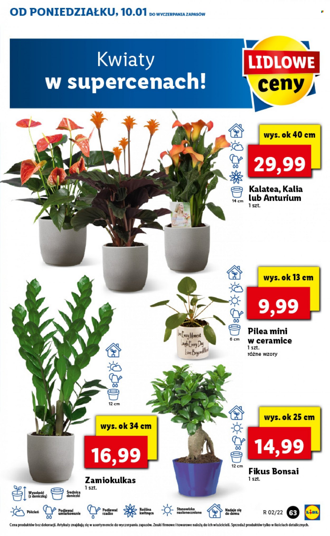 Gazetka Lidl - 10.01.2022 - 12.01.2022. Strona 63
