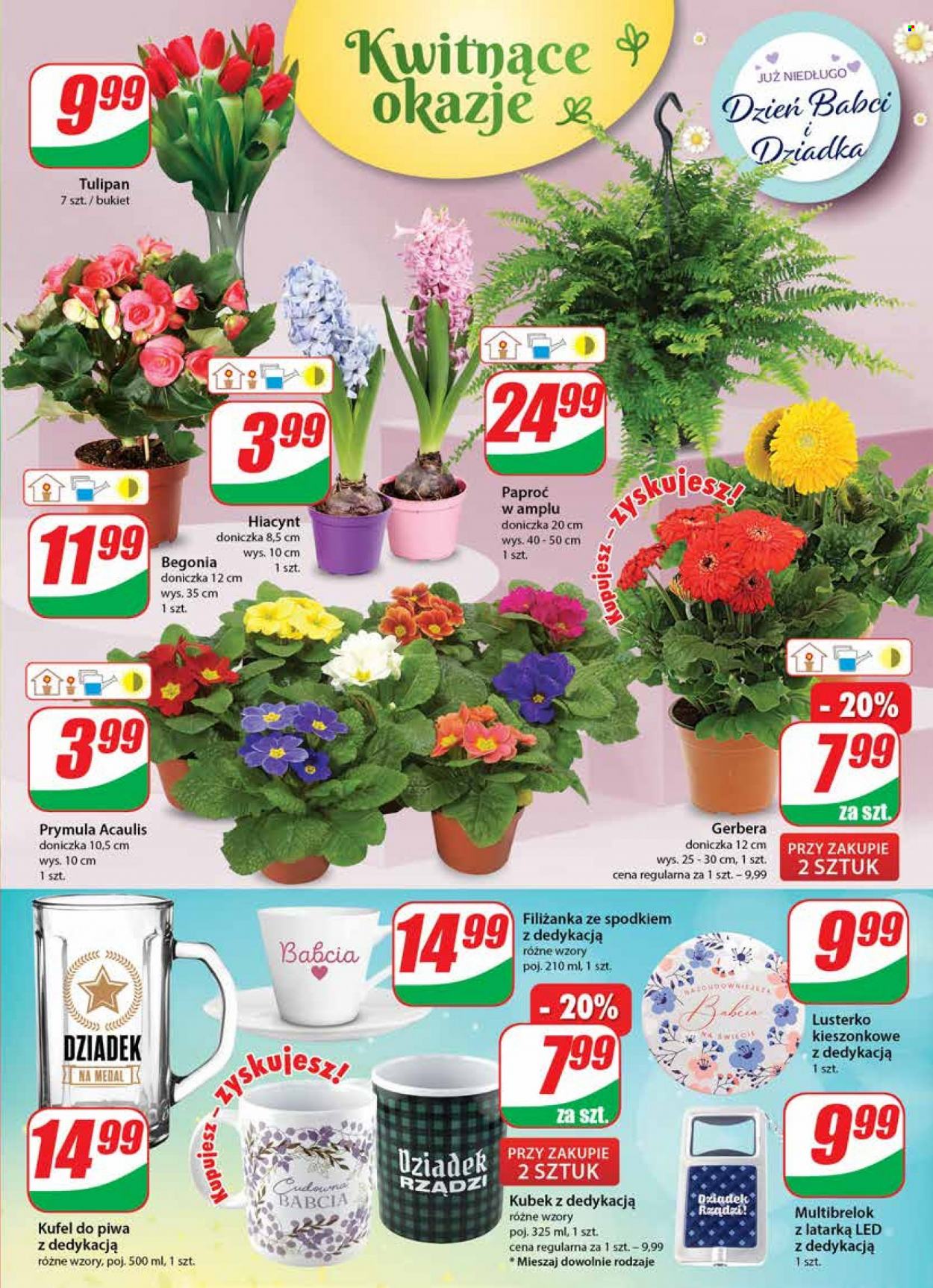 Gazetka Dino - 12.01.2022 - 18.01.2022. Strona 15
