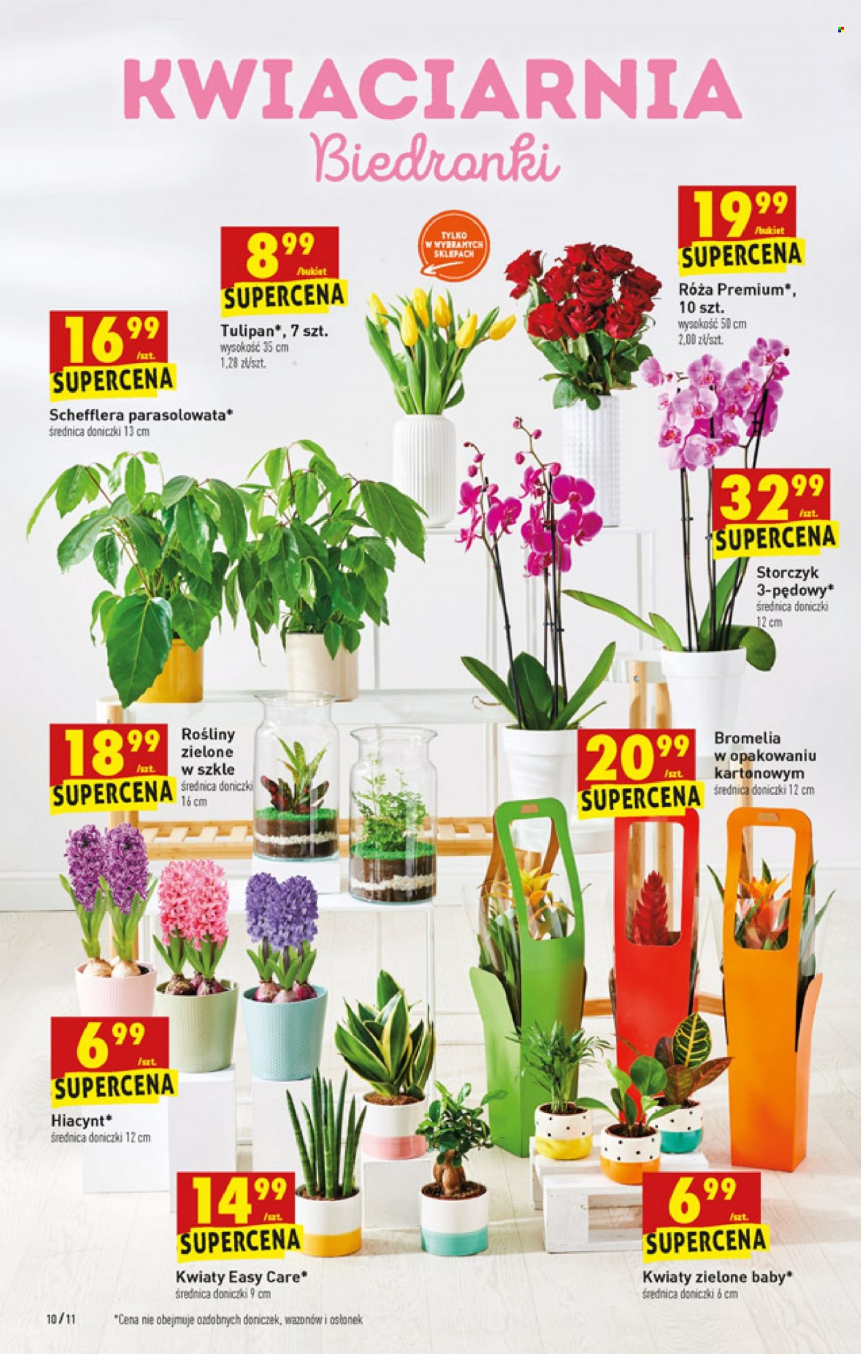 Gazetka Biedronka - 13.01.2022 - 19.01.2022. Strona 10