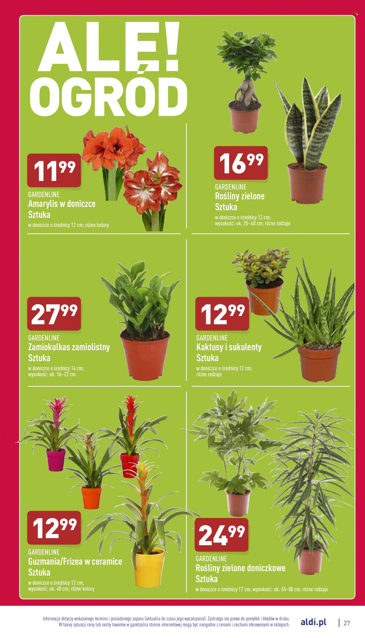 Gazetka ALDI - 17.01.2022 - 22.01.2022. Strona 27