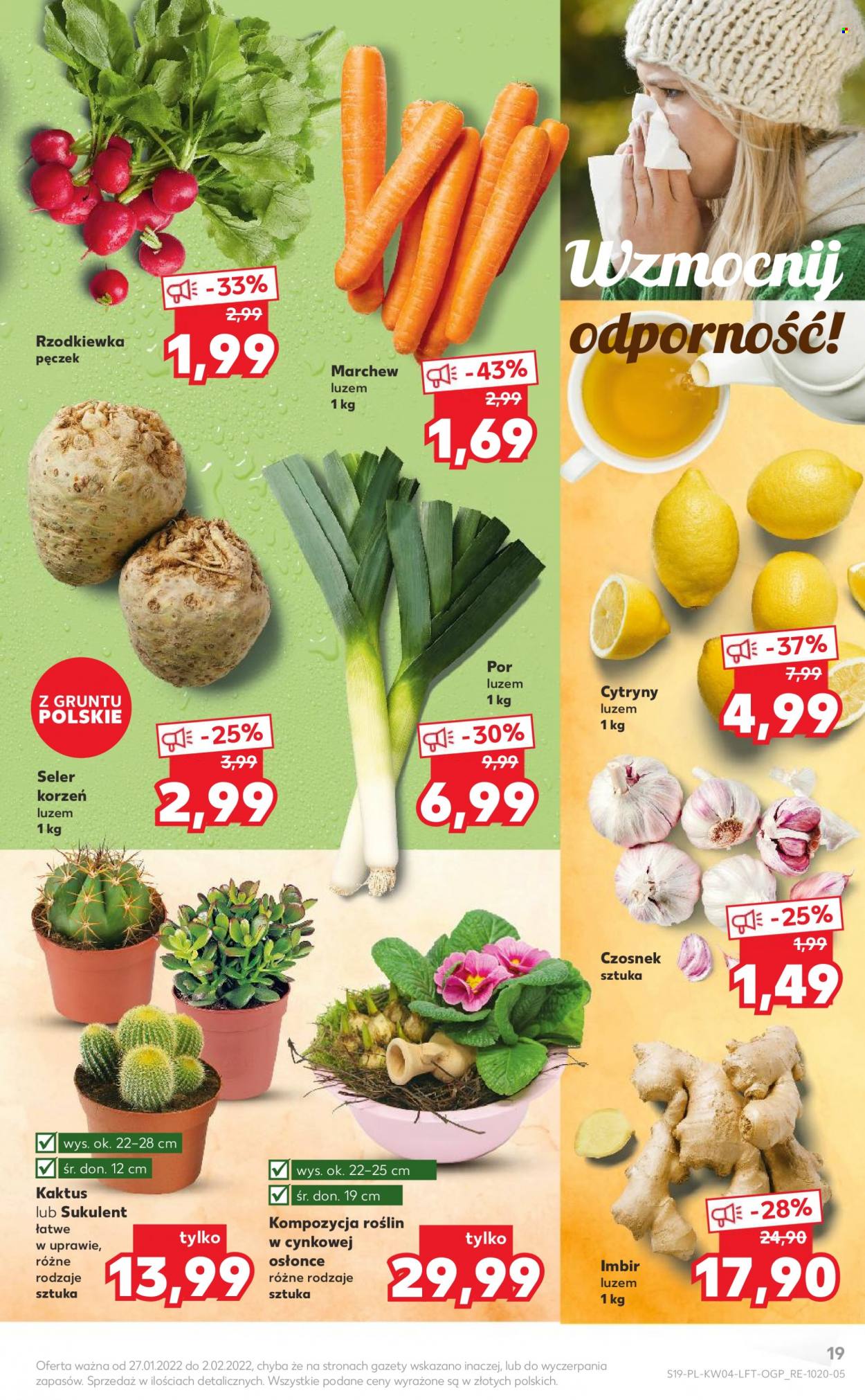 Gazetka Kaufland - 27.01.2022 - 2.02.2022. Strona 19