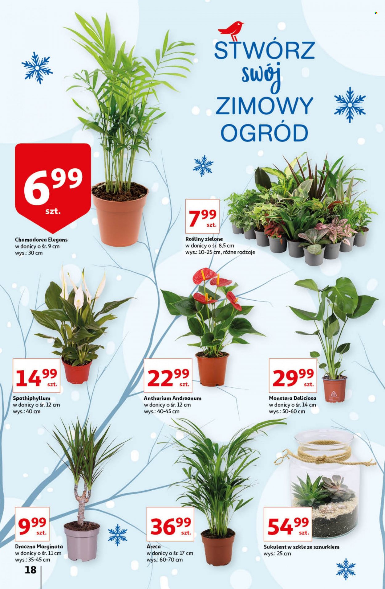 Gazetka Auchan - 27.01.2022 - 3.02.2022. Strona 18