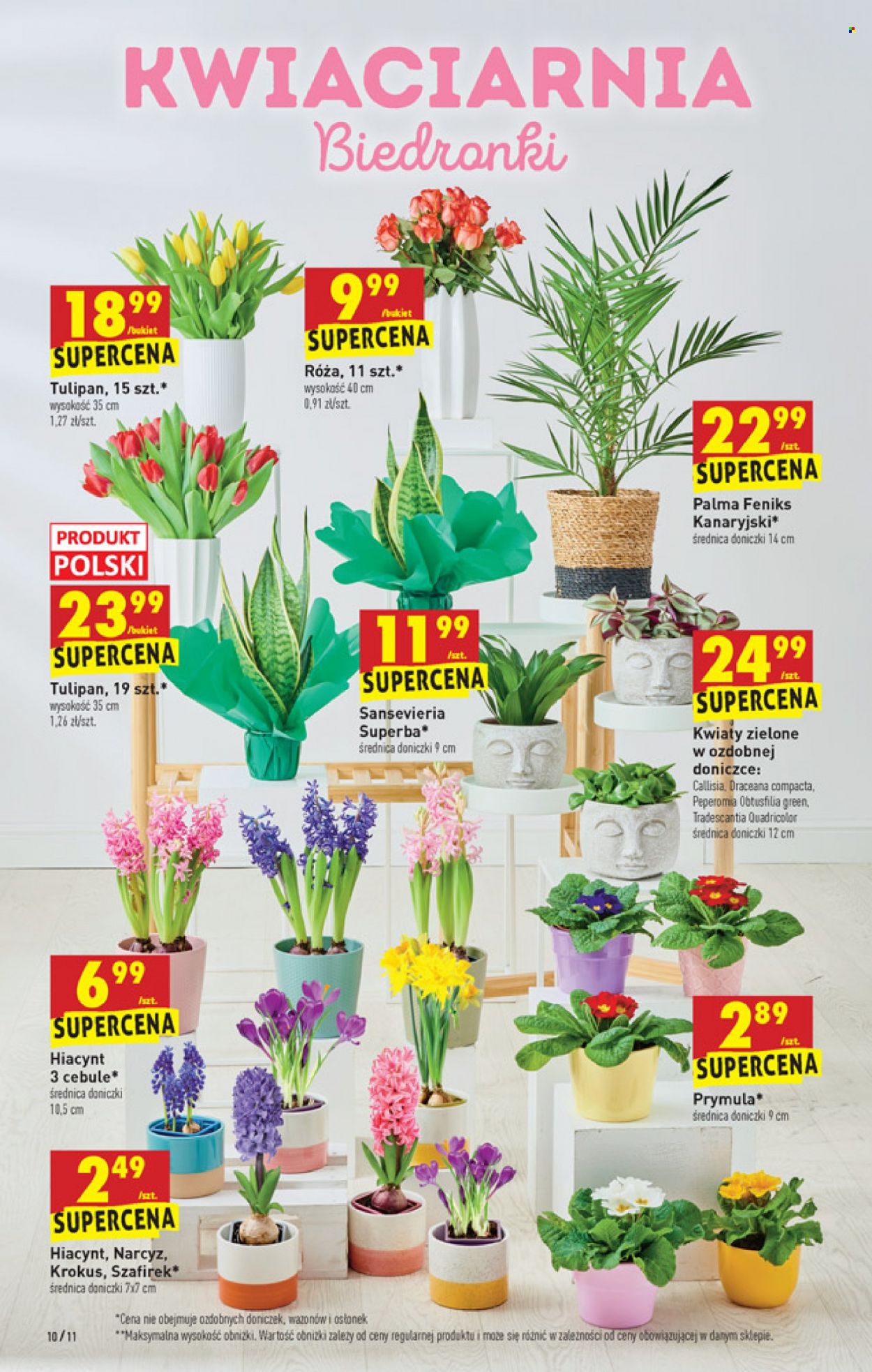 Gazetka Biedronka - 27.01.2022 - 2.02.2022. Strona 10