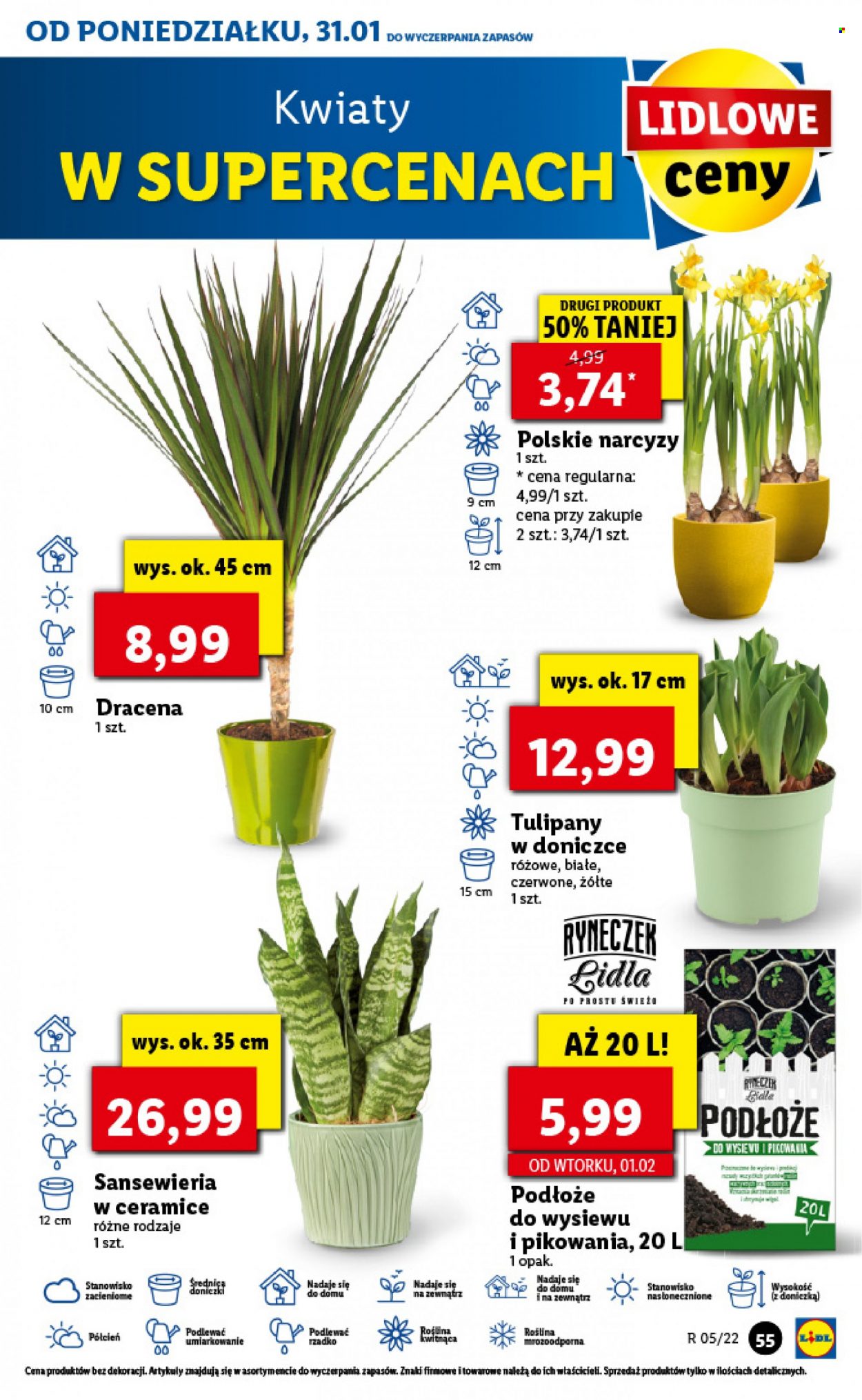 Gazetka Lidl - 31.01.2022 - 2.02.2022. Strona 55
