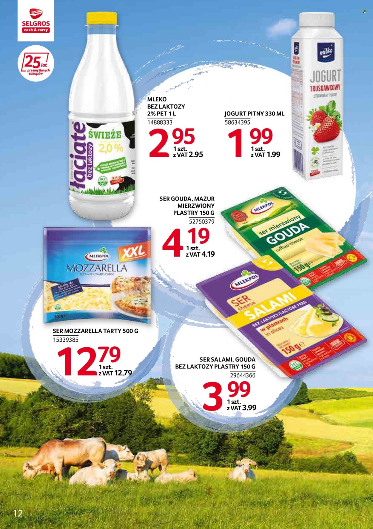 Gazetka Selgros - 3.02.2022 - 16.02.2022. Strona 12