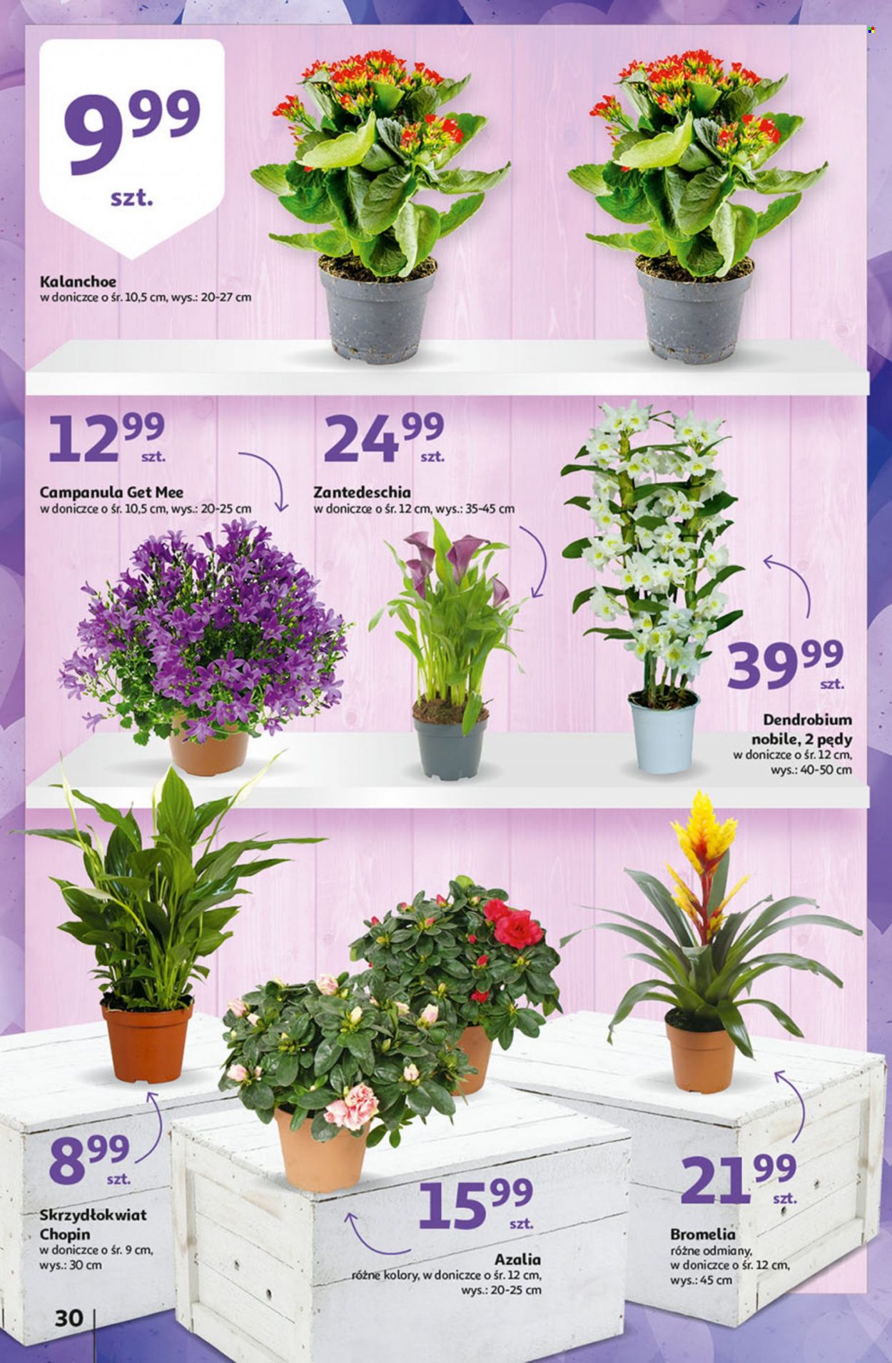 Gazetka Auchan - 4.02.2022 - 9.02.2022. Strona 30