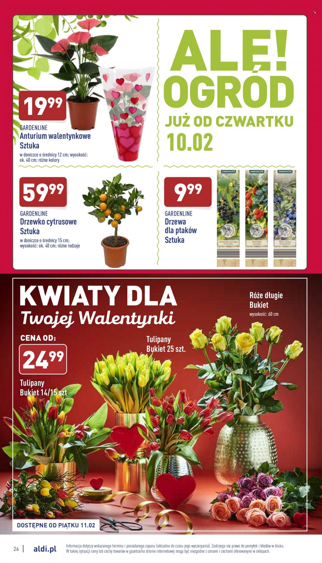Gazetka ALDI - 7.02.2022 - 12.02.2022. Strona 26