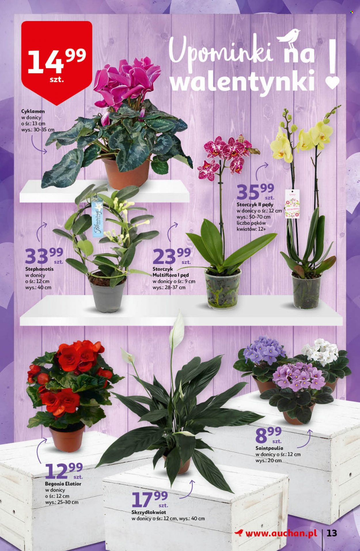 Gazetka Auchan - 10.02.2022 - 16.02.2022. Strona 13