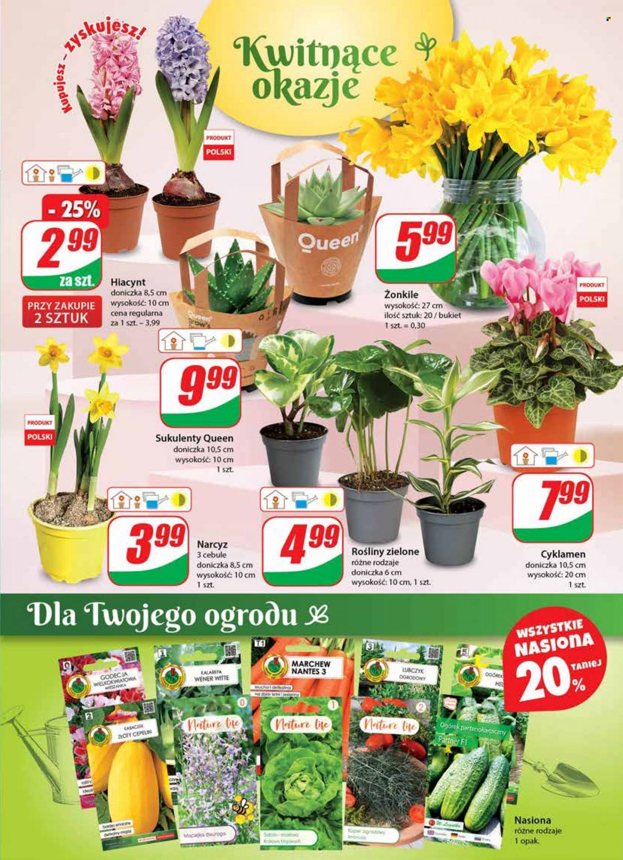 Gazetka Dino - 16.02.2022 - 22.02.2022. Strona 19