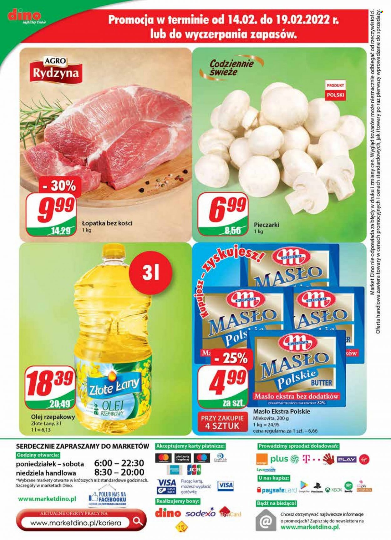 Gazetka Dino - 16.02.2022 - 22.02.2022. Strona 24