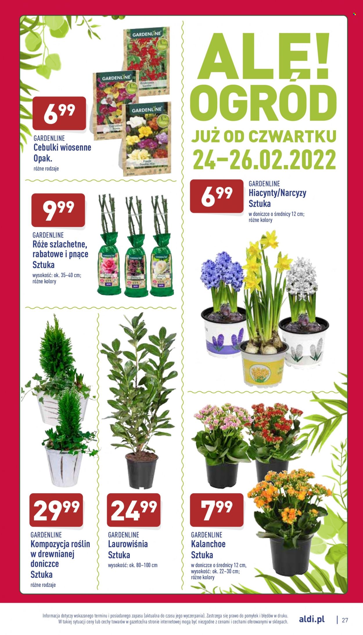 Gazetka ALDI - 21.02.2022 - 26.02.2022. Strona 27