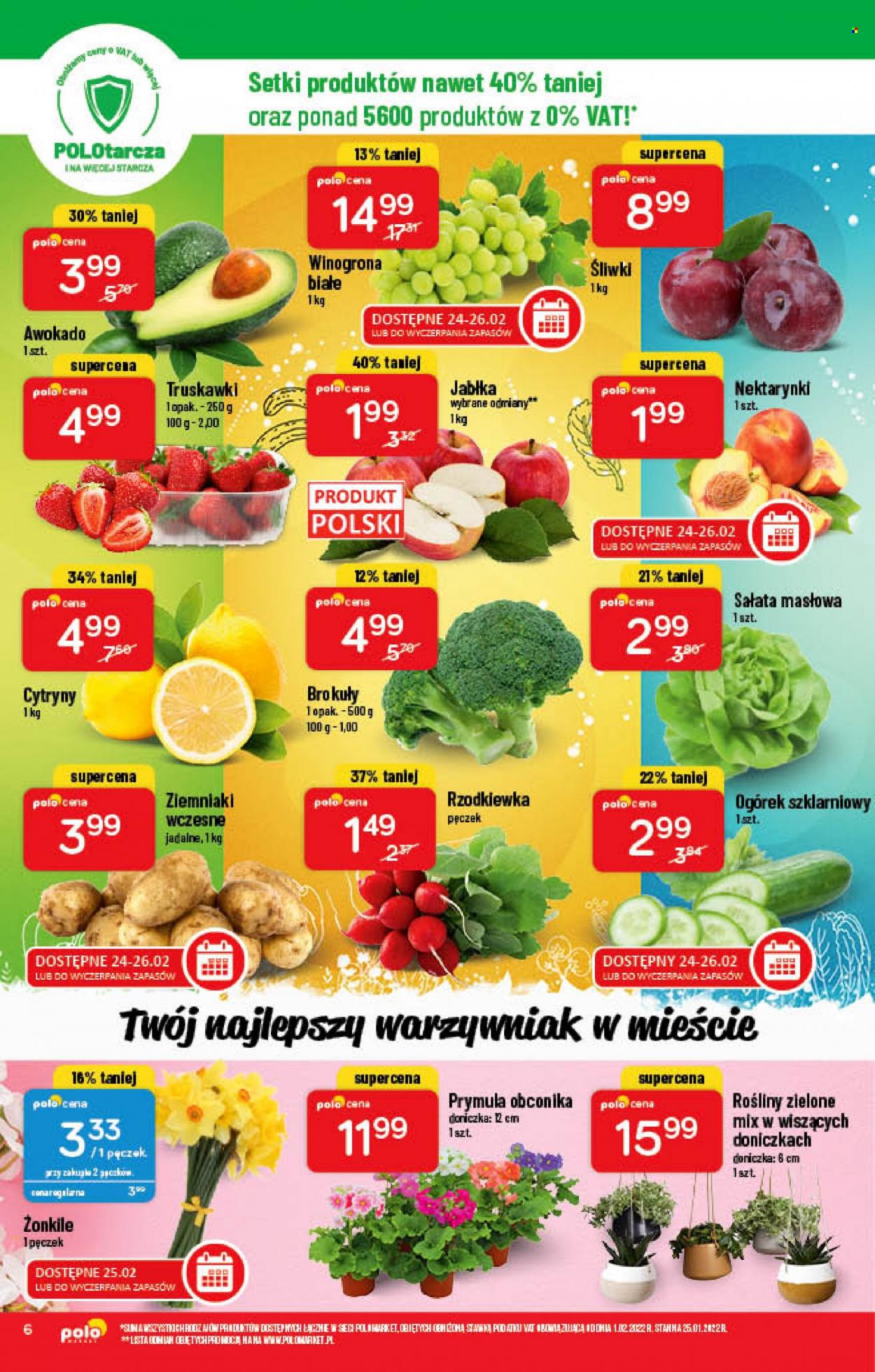 Gazetka Polomarket - 23.02.2022 - 1.03.2022. Strona 6