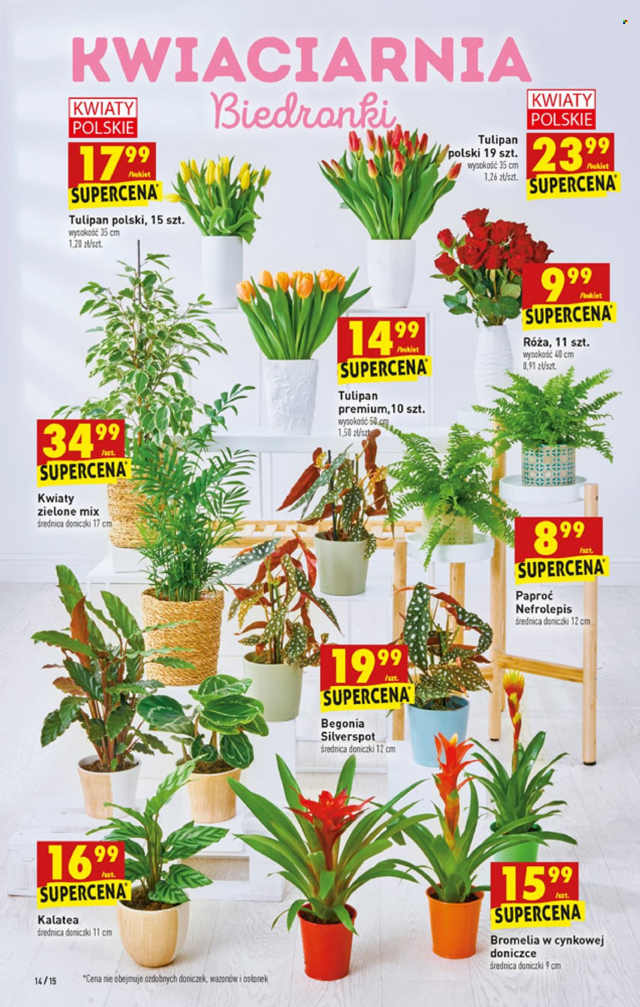 Gazetka Biedronka - 24.02.2022 - 2.03.2022. Strona 14