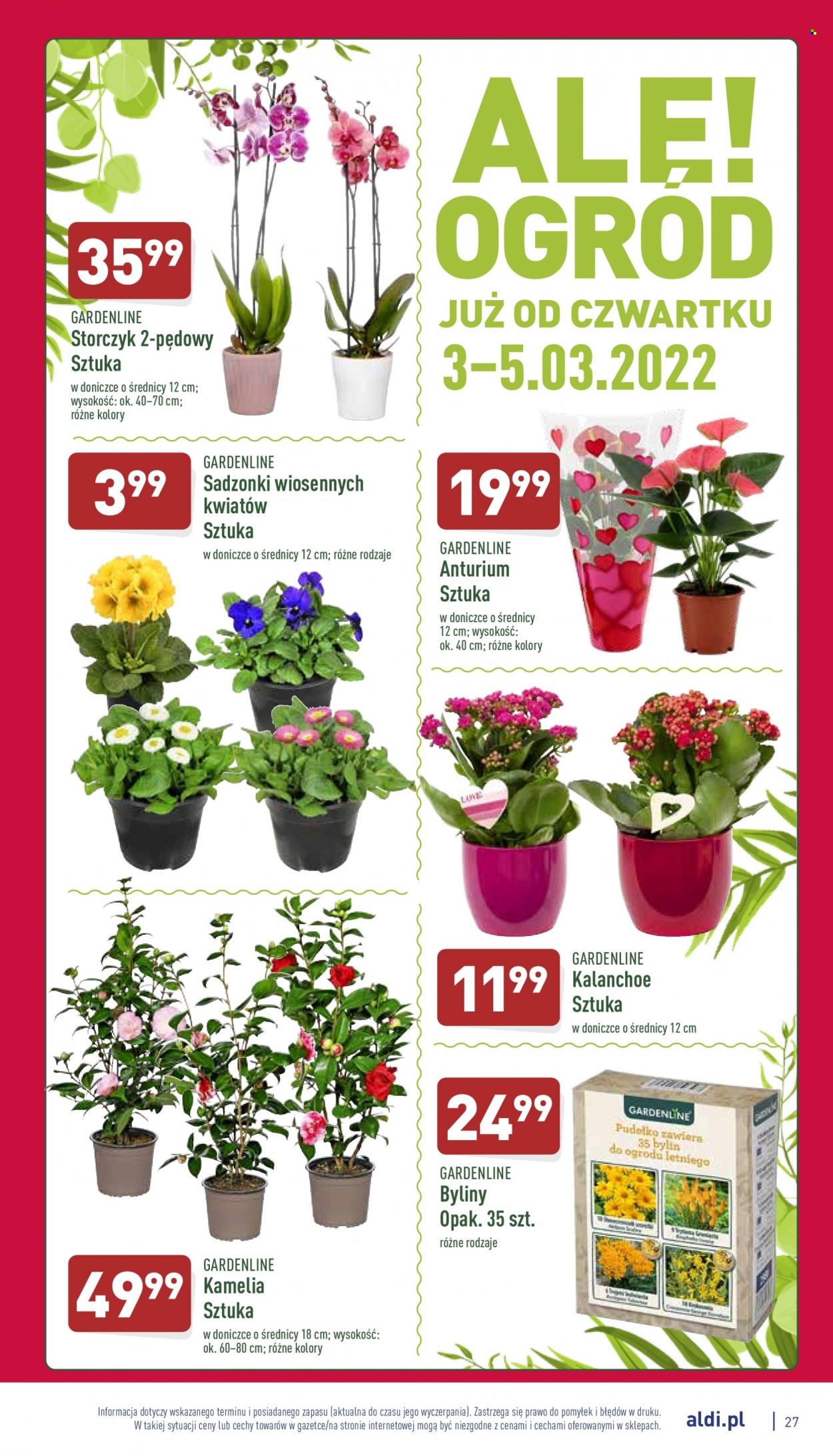 Gazetka ALDI - 28.02.2022 - 5.03.2022. Strona 27