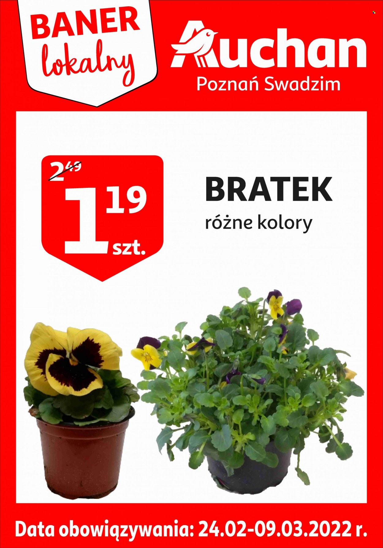Gazetka Auchan - 24.02.2022 - 9.03.2022. Strona 1