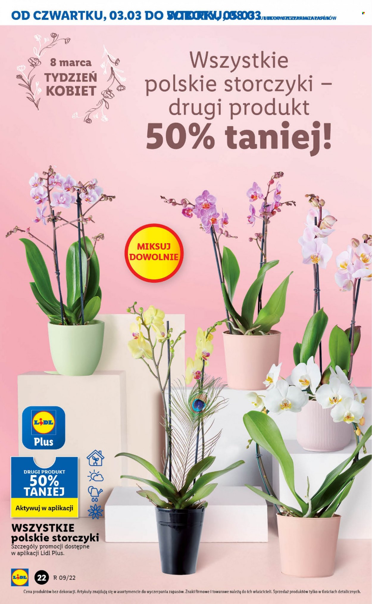 Gazetka Lidl - 3.03.2022 - 5.03.2022. Strona 22